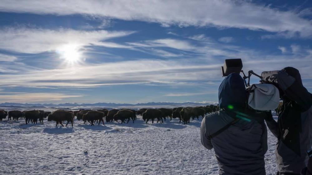 running-eagle-behind-the-camera-1