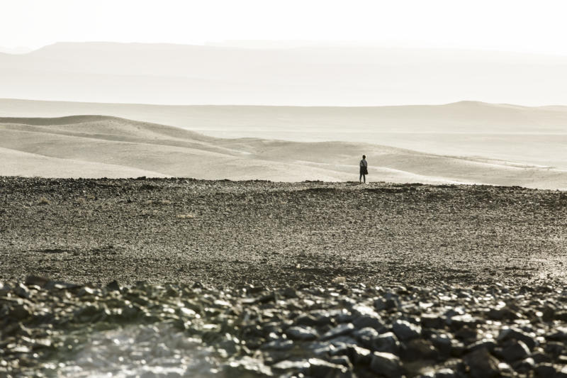 MV5BMzk5MTk1MDk1Nl5BMl5BanBnXkFtZTgwMzMwNDE1OTE@._V1_