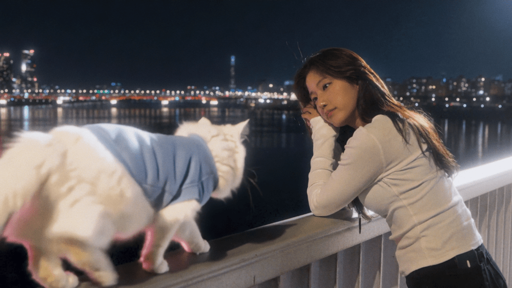 SUMMER / Image courtesy of RGBY agency